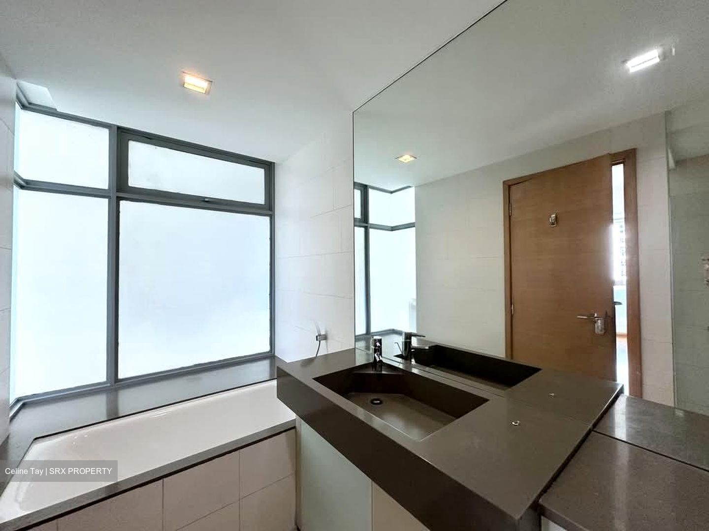 Pavilion 11 (D11), Condominium #595181681